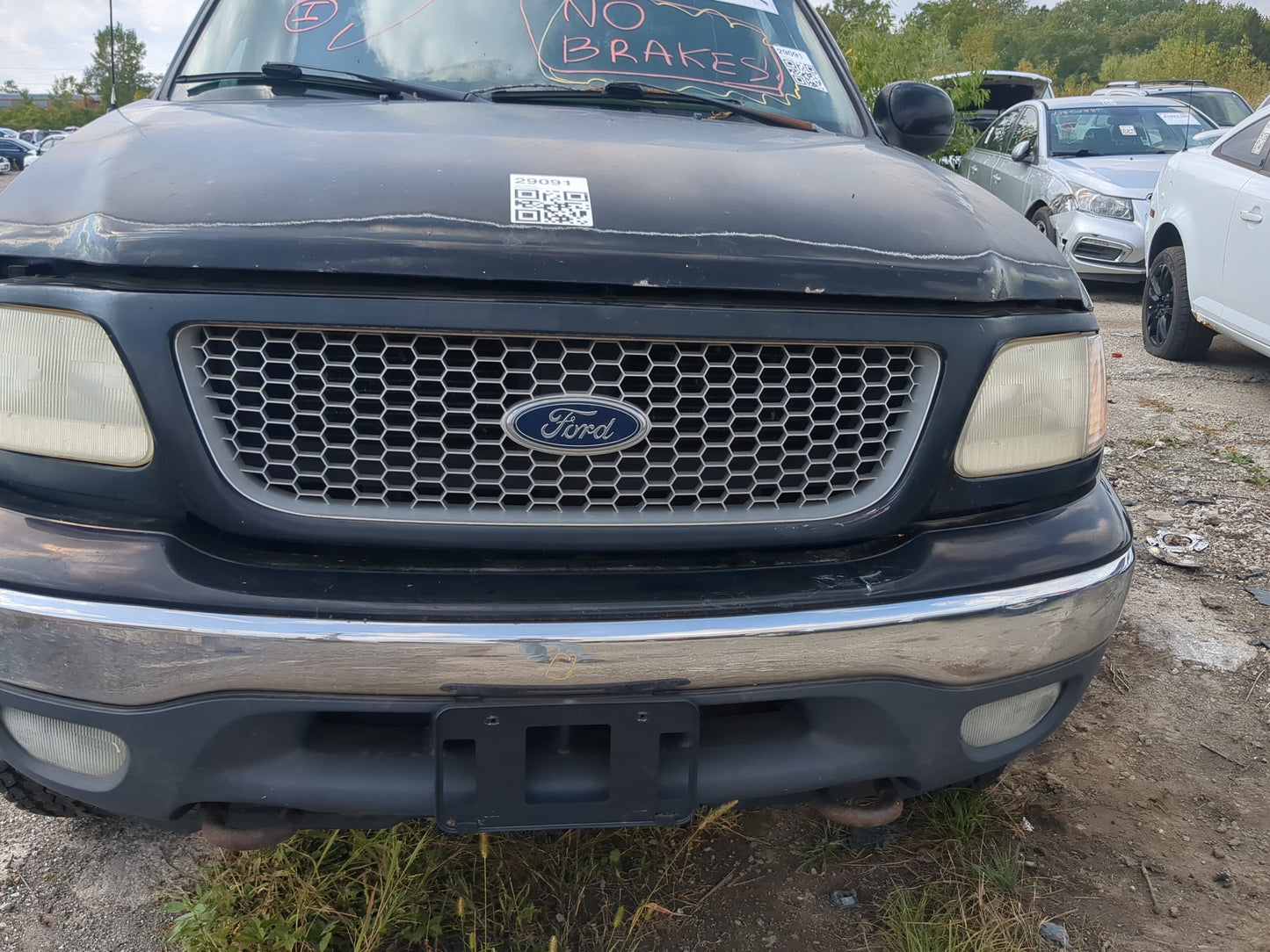 1999-2003 Ford F-150 Front Grille Bumper Not Included - Oemusedautoparts1.com