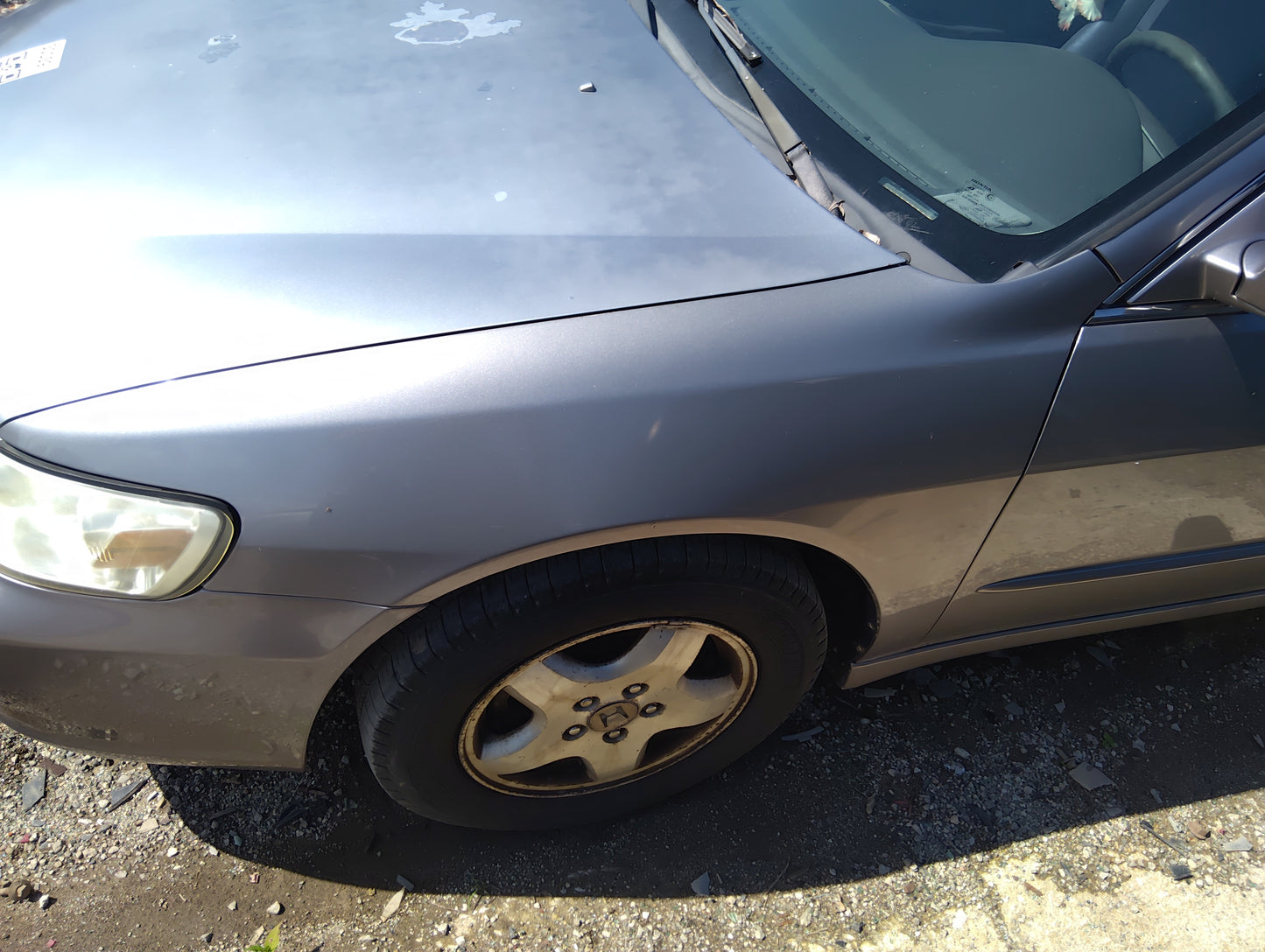 1998-2002 Honda Accord Driver Fender 5032710 - Oemusedautoparts1.com