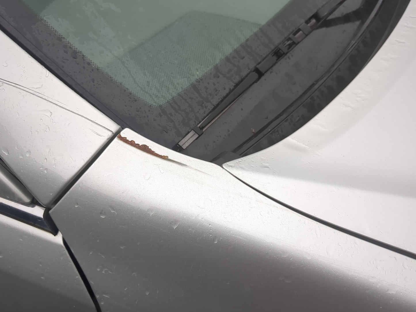 2002-2006 Toyota Camry Passenger Fender - Oemusedautoparts1.com