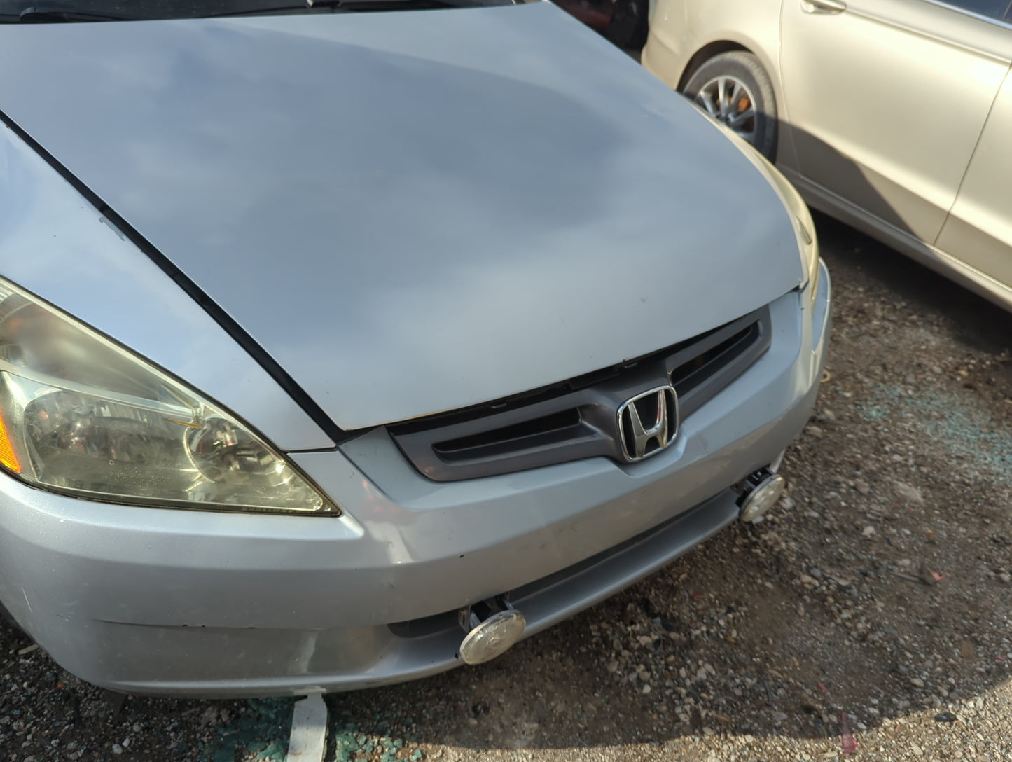 2003-2005 Honda Accord Front Grille Bumper Not Included - Oemusedautoparts1.com