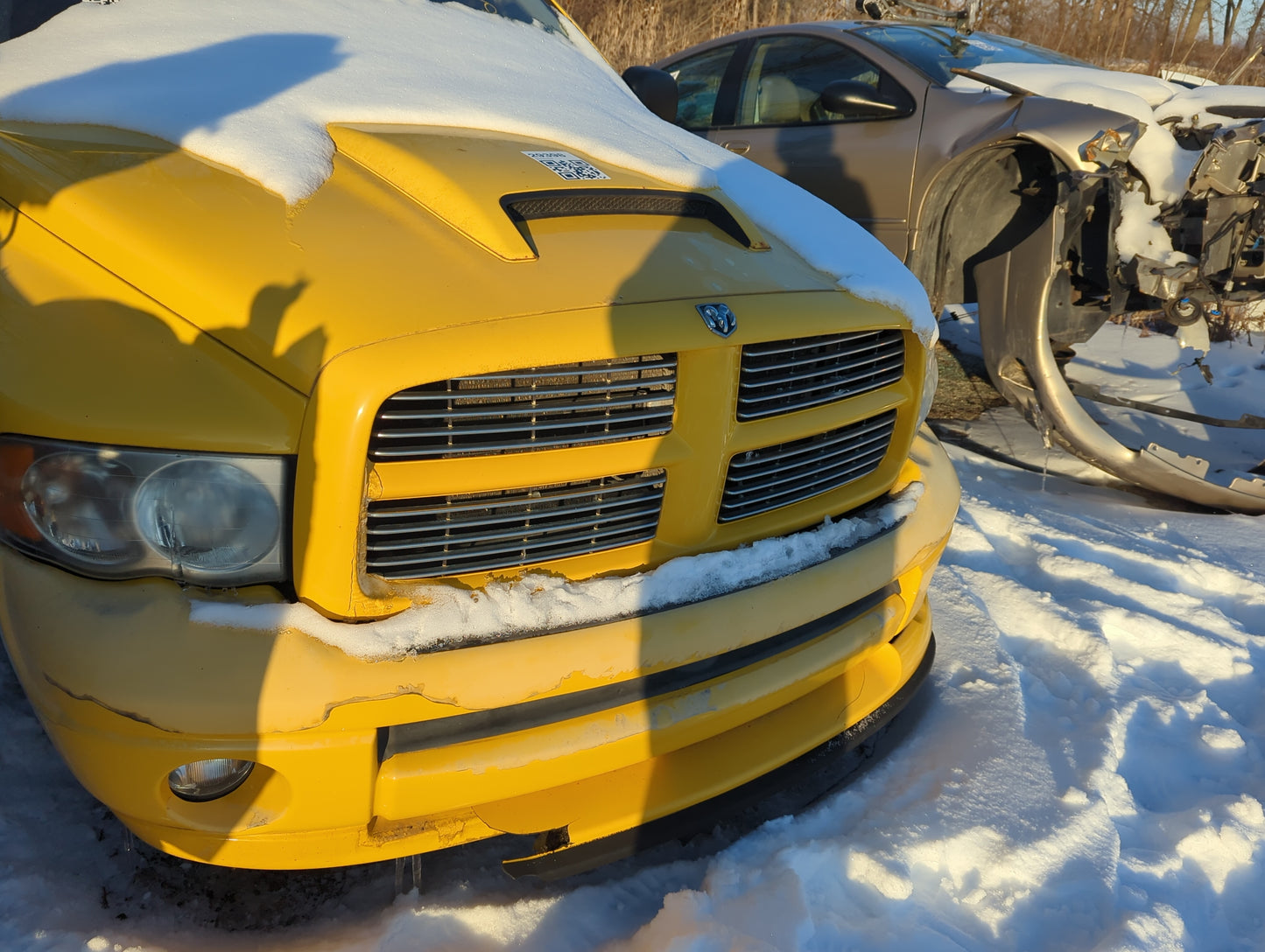 2004-2005 Dodge Ram 1500 Front Grille Bumper Not Included - Oemusedautoparts1.com