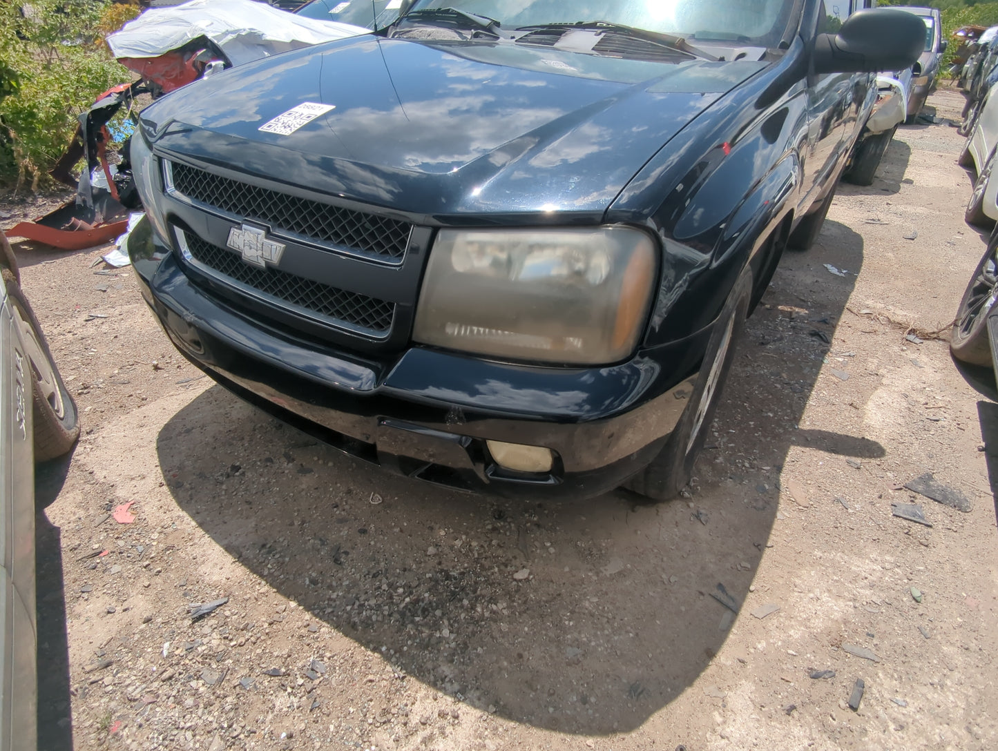 2006-2009 Chevrolet Trailblazer Front Bumper Grille - Oemusedautoparts1.com