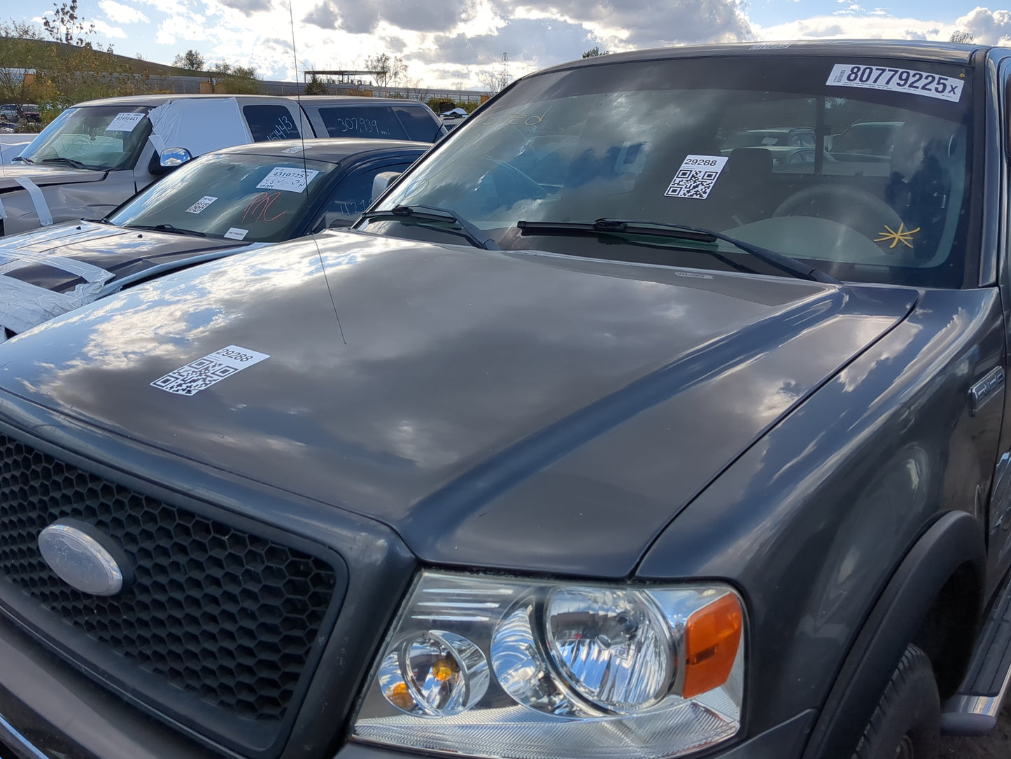 2004-2008 Ford F-150 Hood Oem - Oemusedautoparts1.com