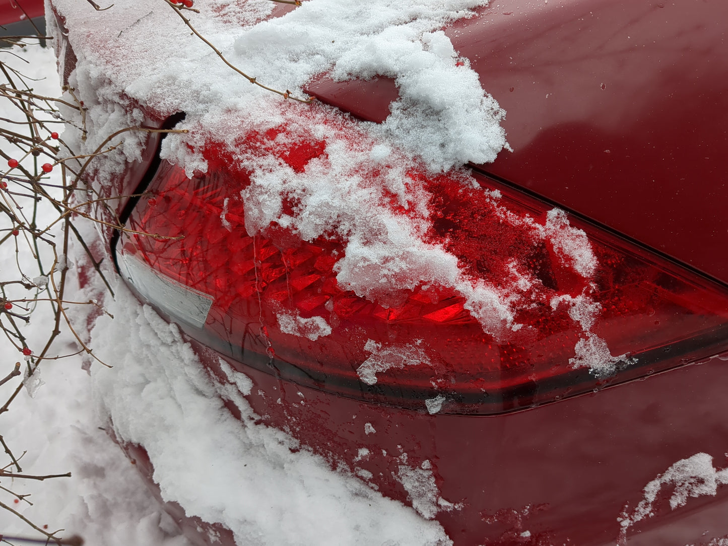 2006-2007 Honda Accord Tail Light Assembly Passenger Right OEM Fits Fits 2006 2007 OEM Used Auto Parts - Oemusedautoparts1.c