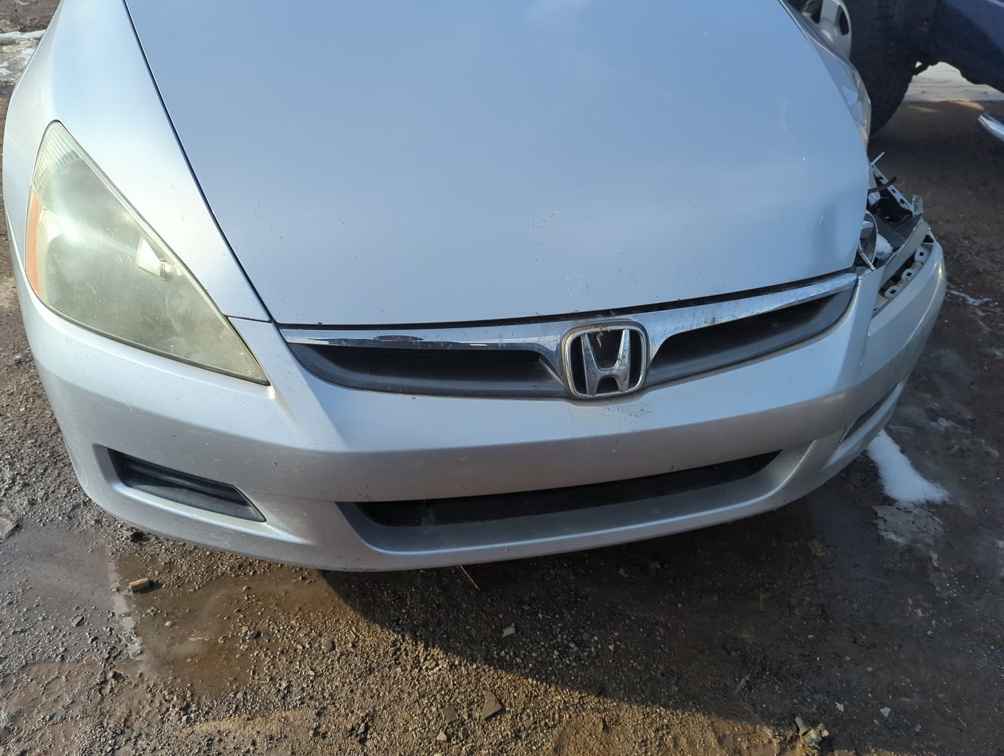 2006-2007 Honda Accord Front Grille Bumper Not Included - Oemusedautoparts1.com