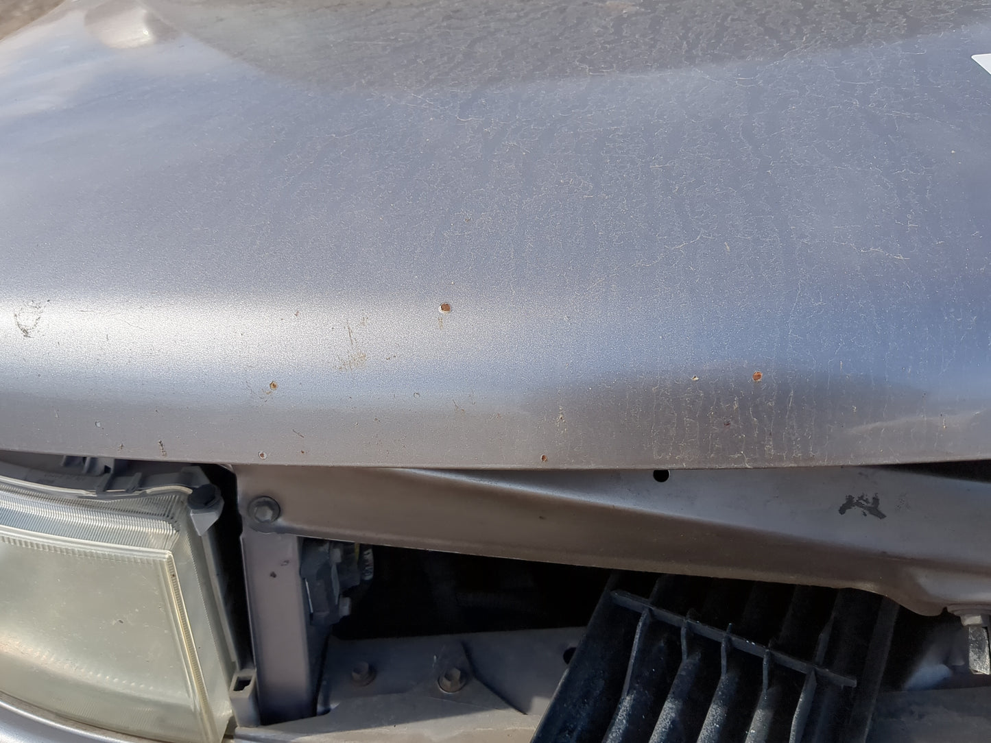 2004-2006 Scion Xb Hood Oem 1219776 - Oemusedautoparts1.com
