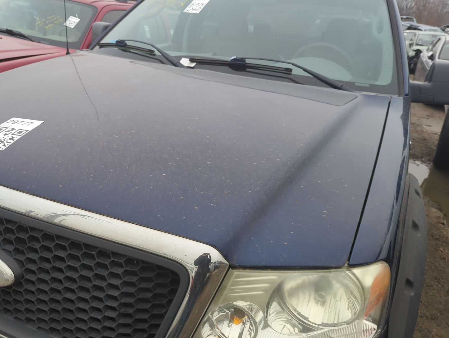 2004-2008 Ford F-150 Hood Oem - Oemusedautoparts1.com