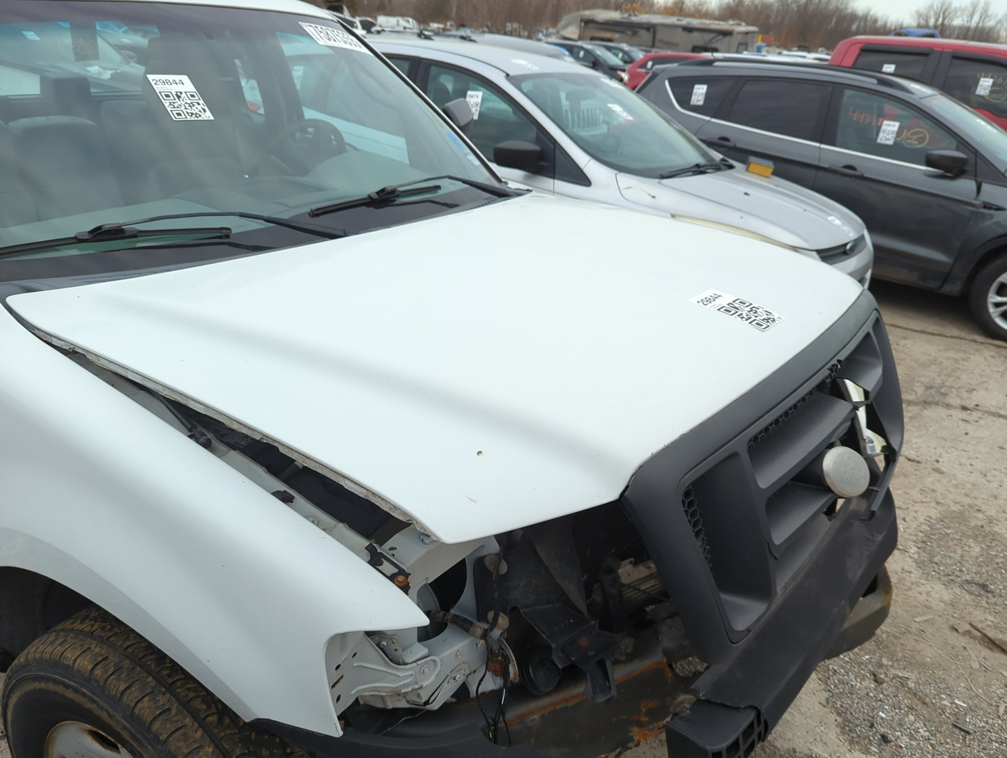 2004-2008 Ford F-150 Hood Oem - Oemusedautoparts1.com