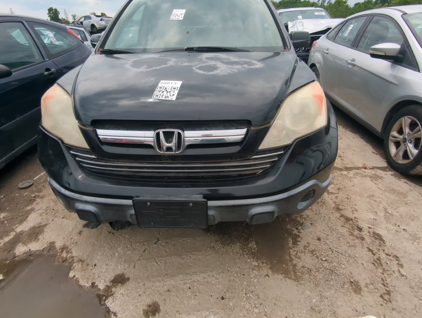 2007-2009 Honda Cr-v Front Bumper Grille - Oemusedautoparts1.com