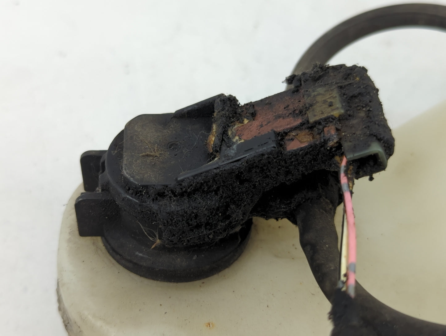 2005-2010 Honda Odyssey Windshield Washer Fluid Reservoir Bottle Oem - Oemusedautoparts1.com