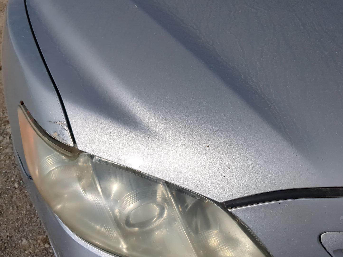2007-2011 Toyota Camry Hood Oem - Oemusedautoparts1.com