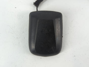 2008 Chrysler Town & Country Radio Antenna Mast