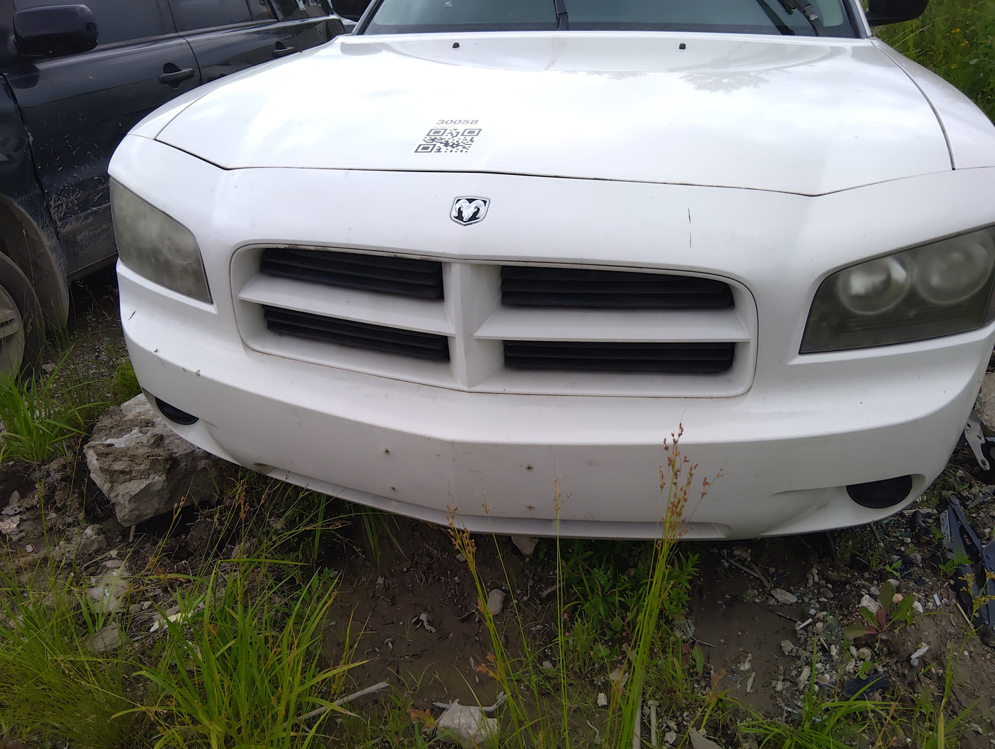 2006-2010 Dodge Charger Front Grille Bumper Not Included 5035370 - Oemusedautoparts1.com