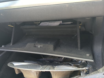 2009 Chrysler 300 Passenger Glove Box Door Storage Compartment