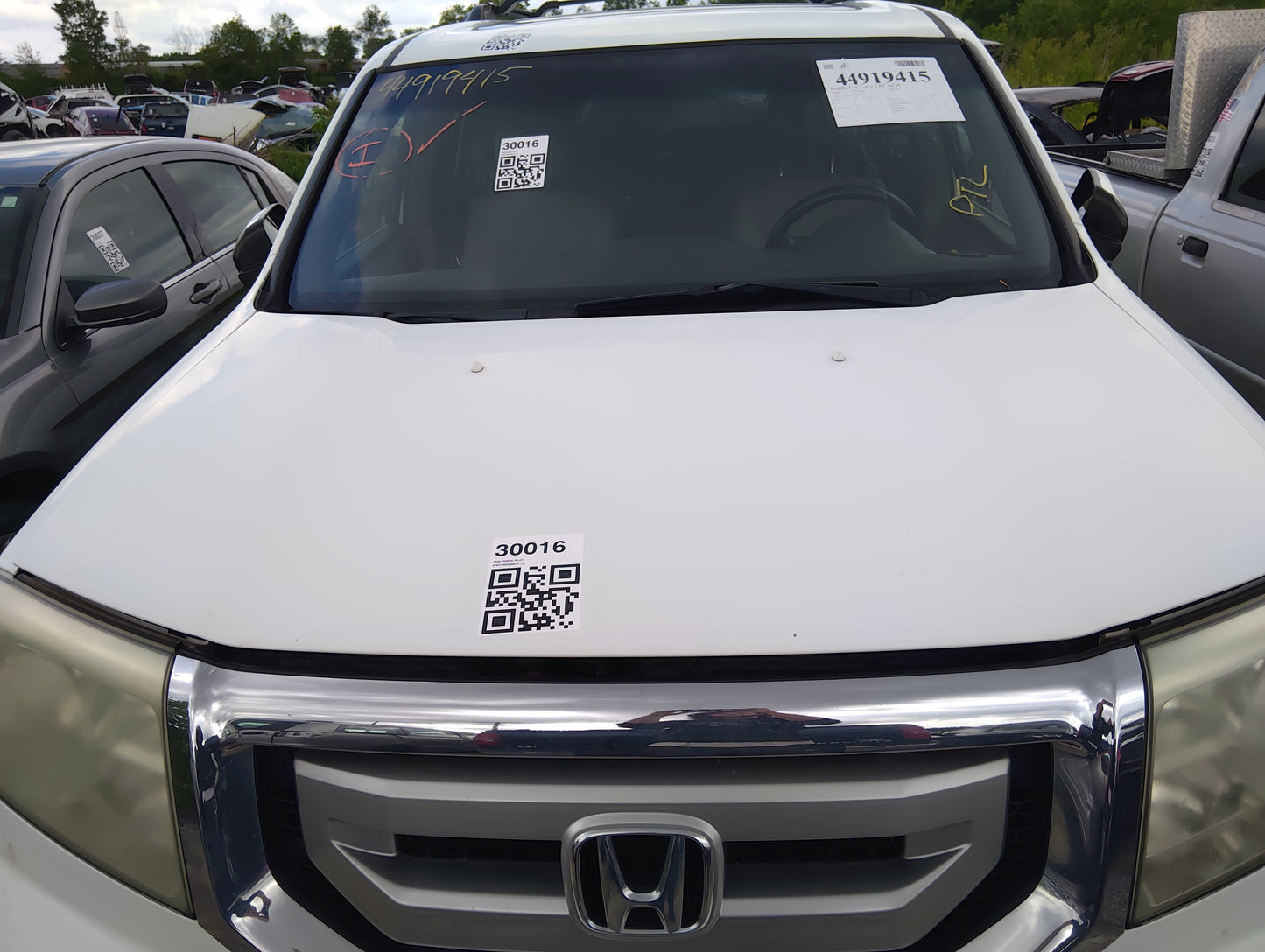2009-2015 Honda Pilot Hood Oem - Oemusedautoparts1.com