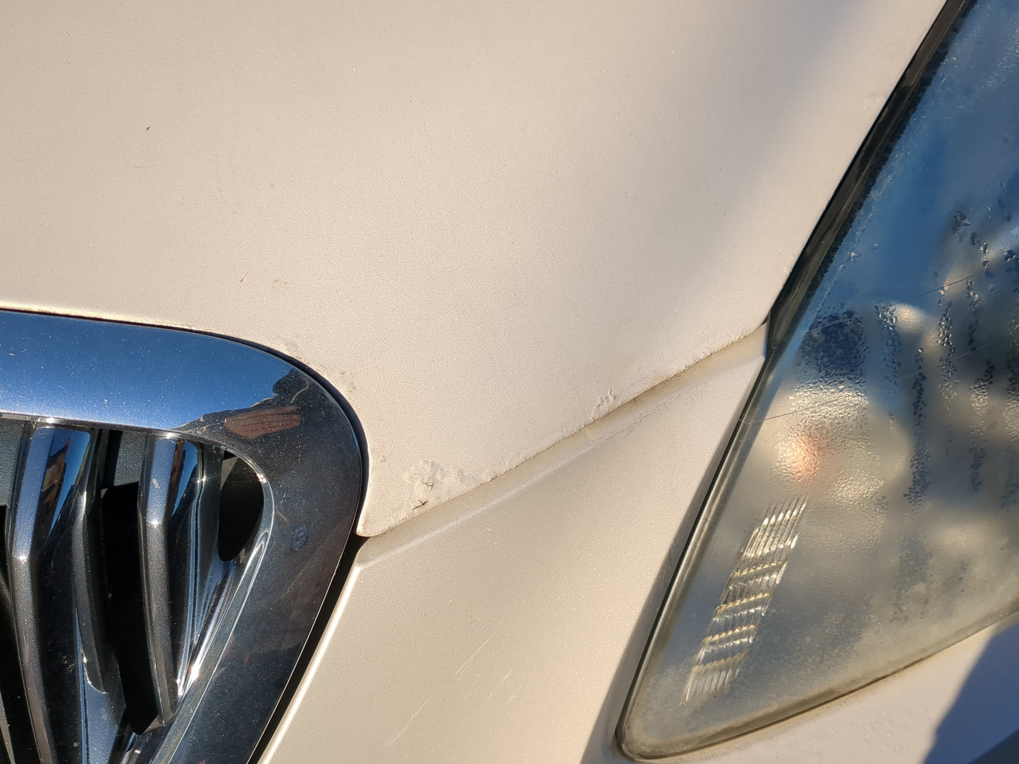 2008-2012 Buick Enclave Hood Oem - Oemusedautoparts1.com