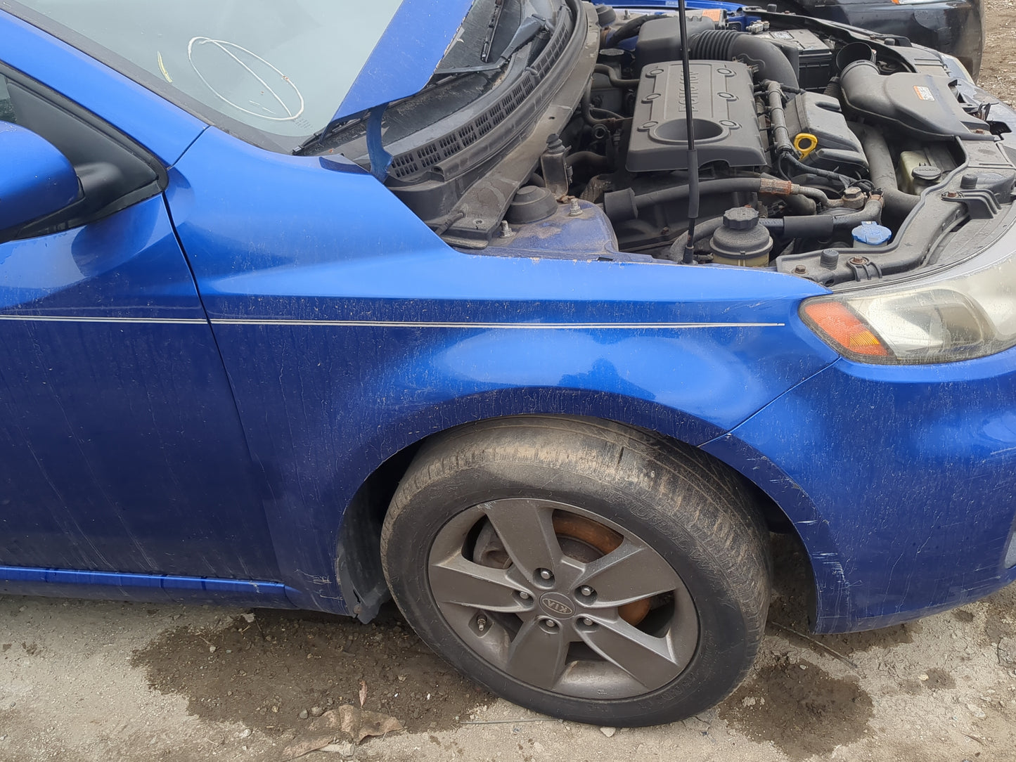 2010-2013 Kia Forte Koup Passenger Fender - Oemusedautoparts1.com