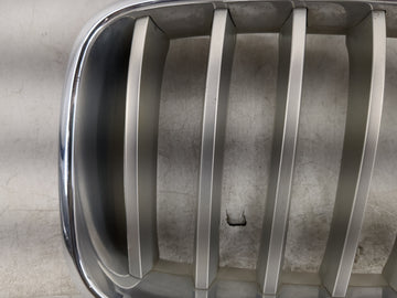 2013-2017 Bmw X3 Front Grille Bumper Not Included 1459912
