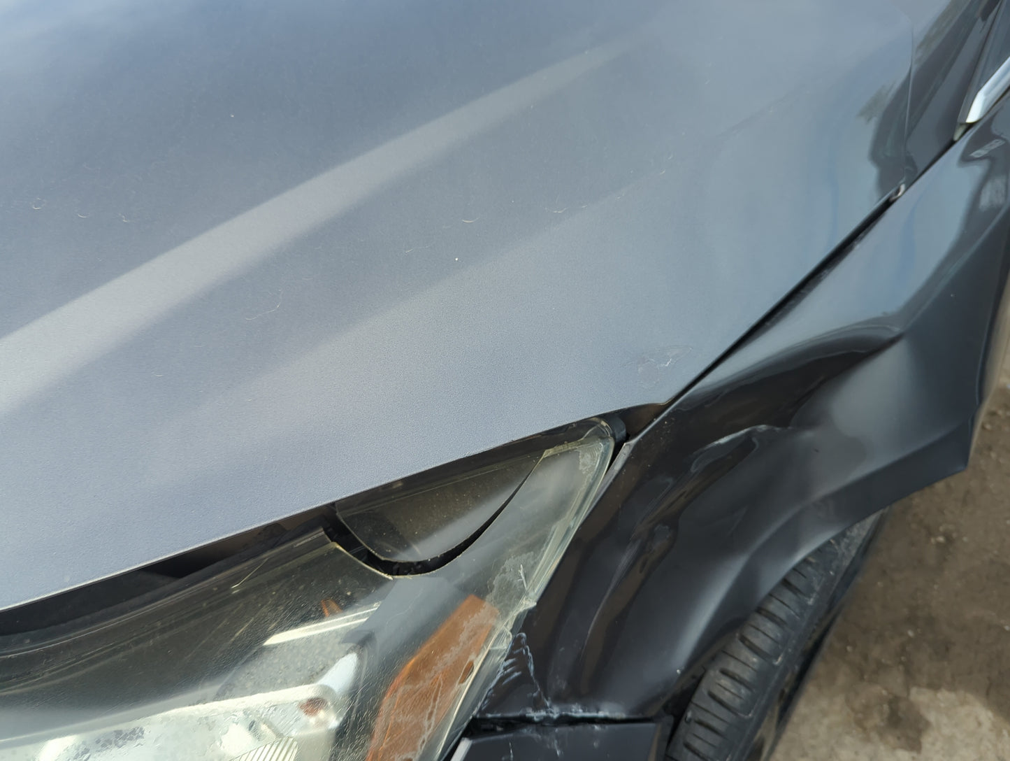 2012-2018 Ford Focus Hood Oem - Oemusedautoparts1.com