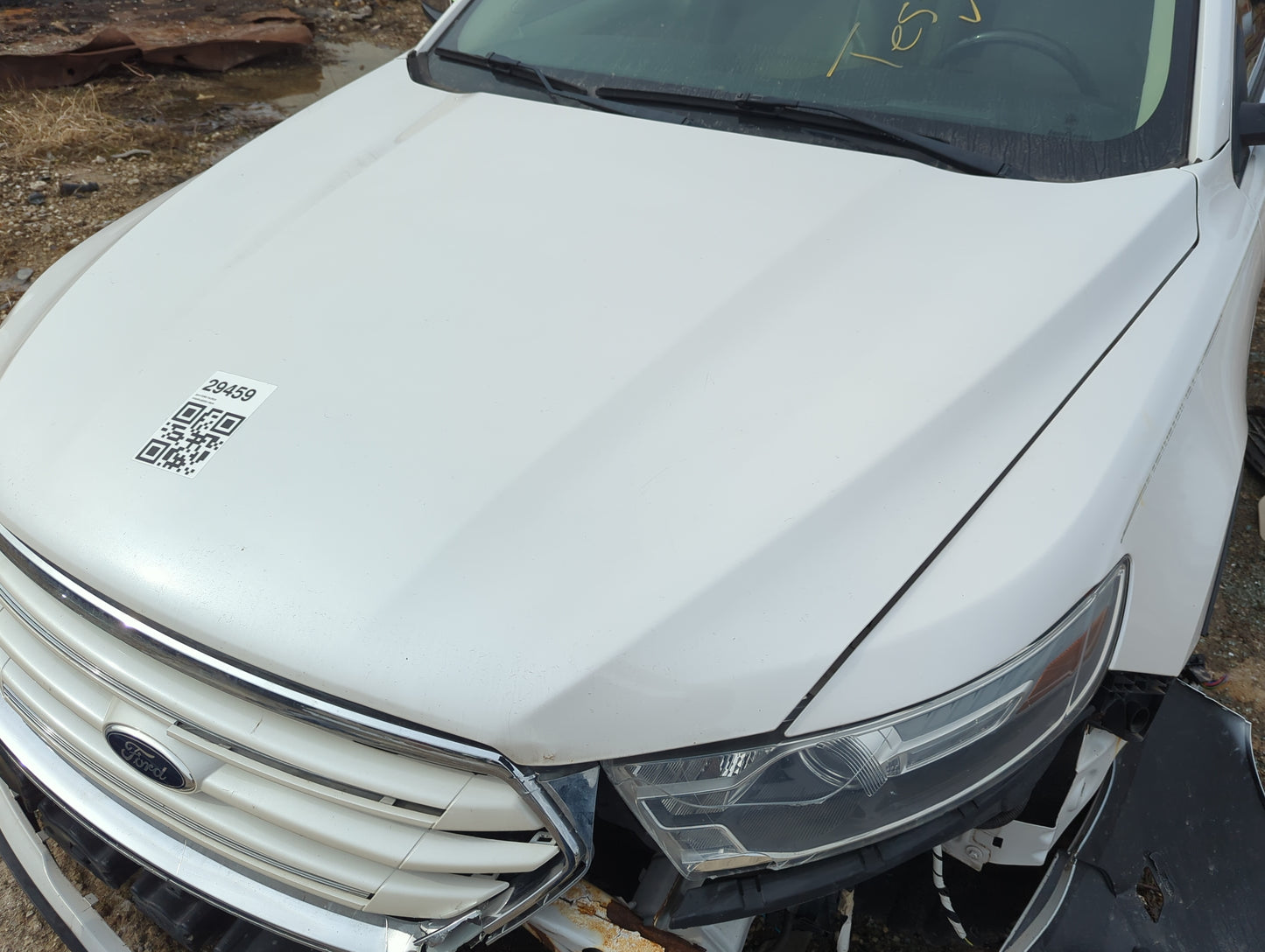 2013-2019 Ford Taurus Hood Oem - Oemusedautoparts1.com