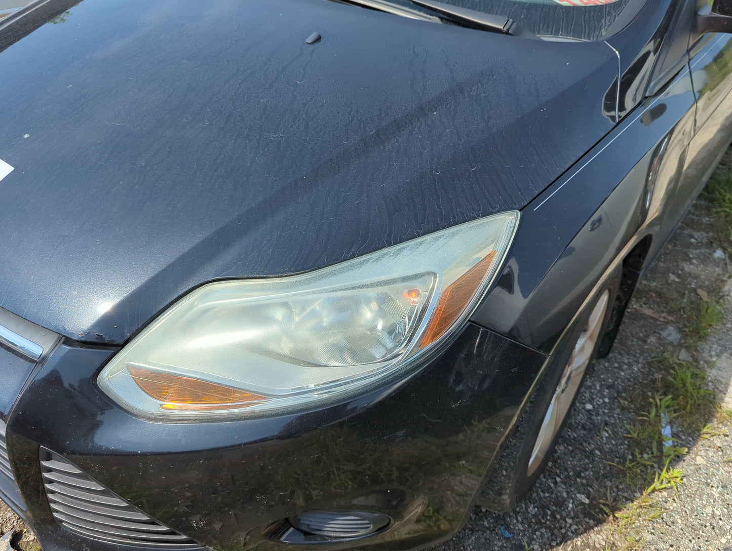 2012-2014 Ford Focus Driver Left Oem Head Light Headlight Lamp - Oemusedautoparts1.com