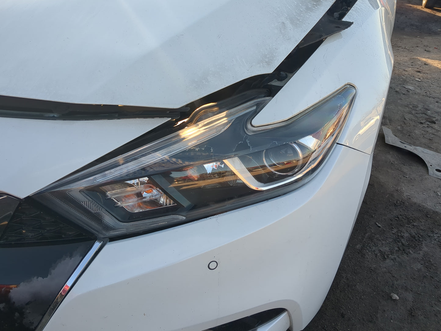 2016-2018 Nissan Maxima Driver Left Oem Head Light Headlight Lamp - Oemusedautoparts1.com
