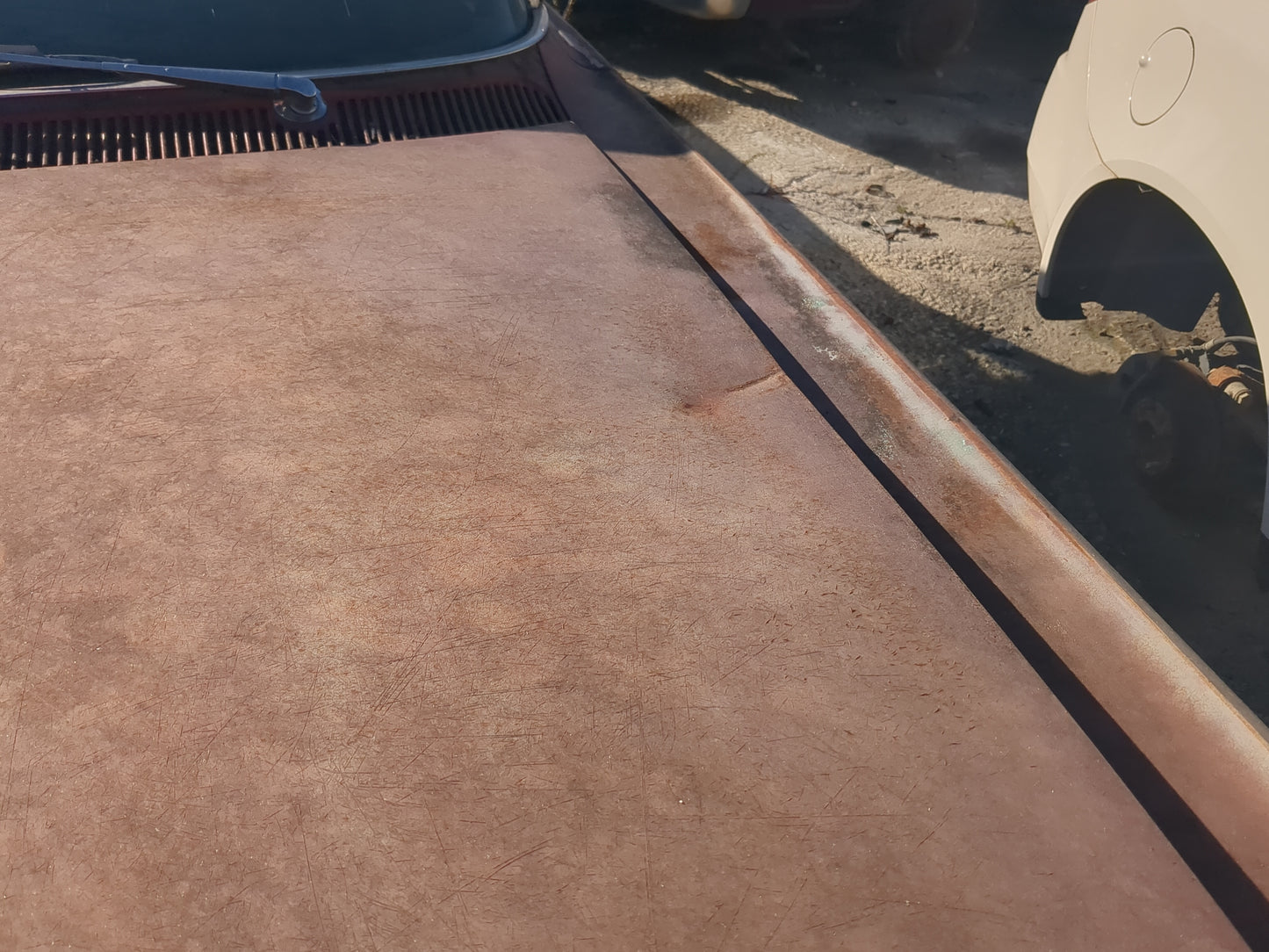 1961 Oldsmobile 88 Dynamic Base Hood Oem - Oemusedautoparts1.com