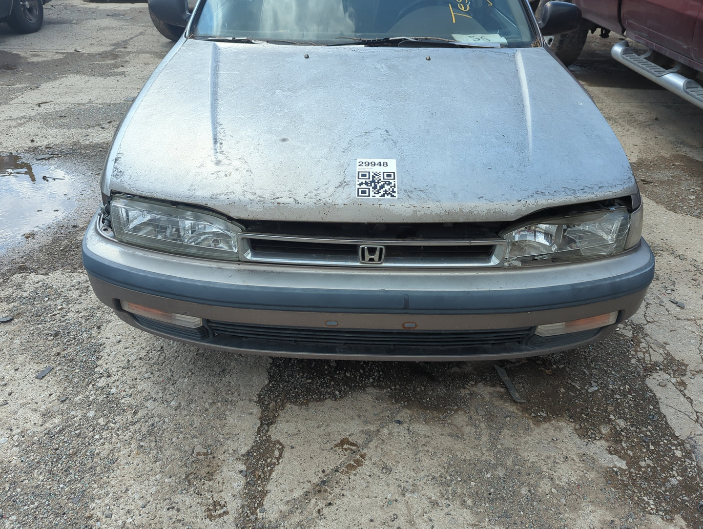 1990 Honda Accord Front Grille Bumper Not Included - Oemusedautoparts1.com