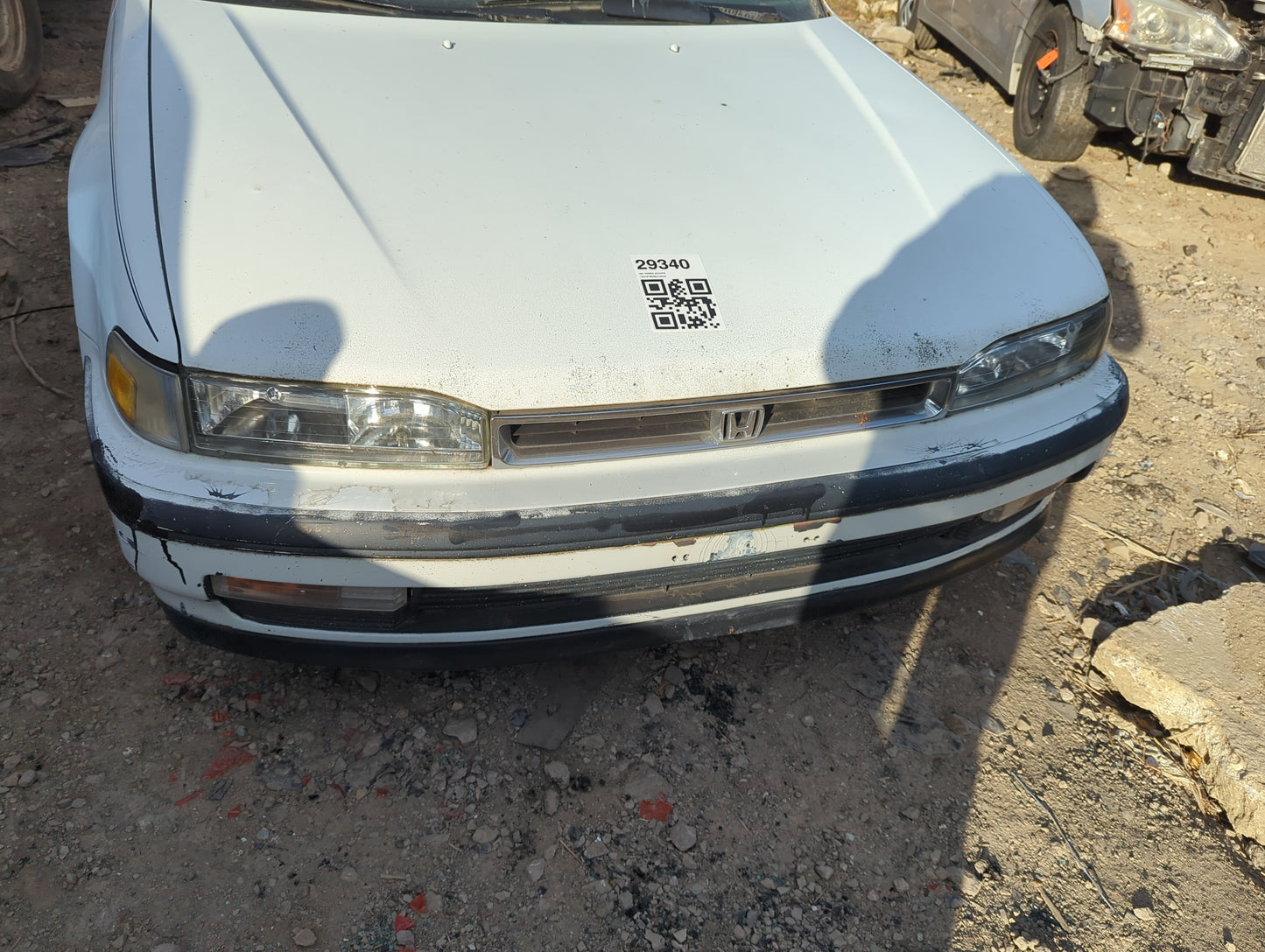 1991 Honda Accord Front Grille Bumper Not Included - Oemusedautoparts1.com