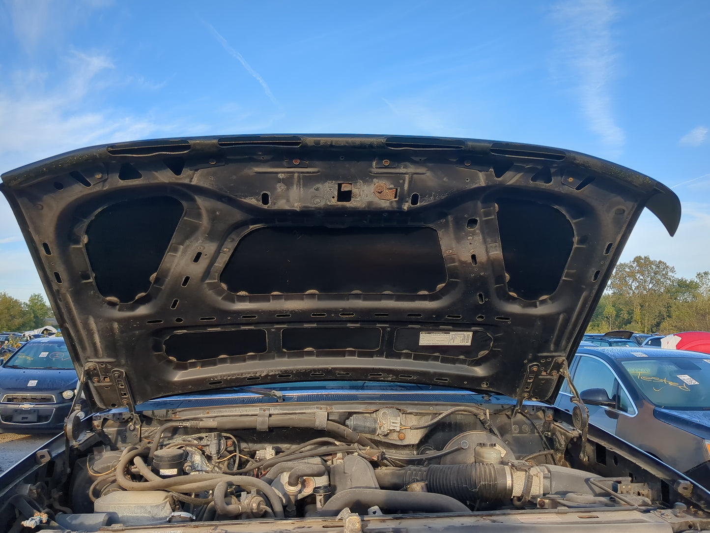 1992-1996 Ford F-150 Hood Oem - Oemusedautoparts1.com