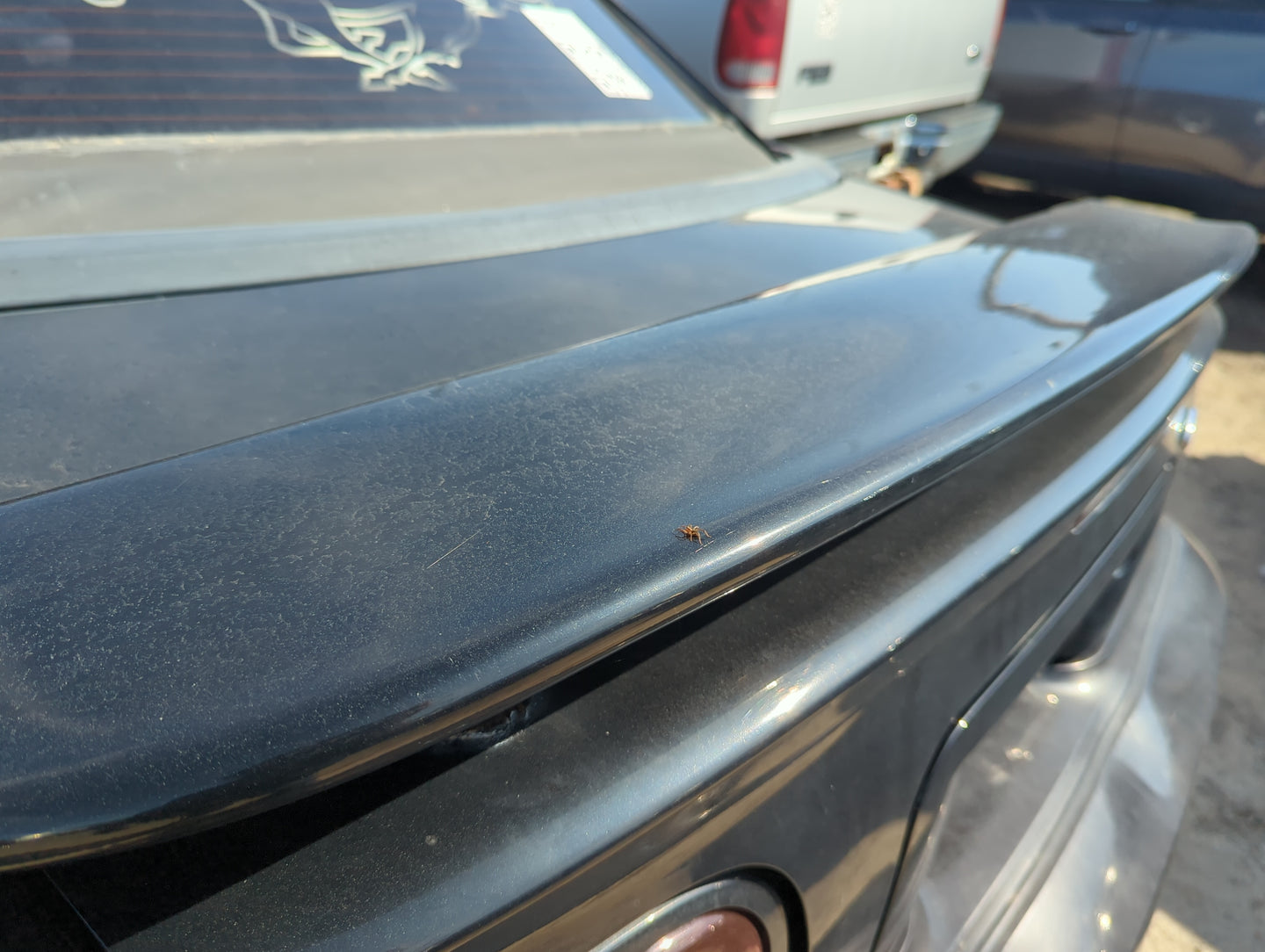 1994-1998 Ford Mustang Trunk/decklid/hatch/tailgate Oem - Oemusedautoparts1.com
