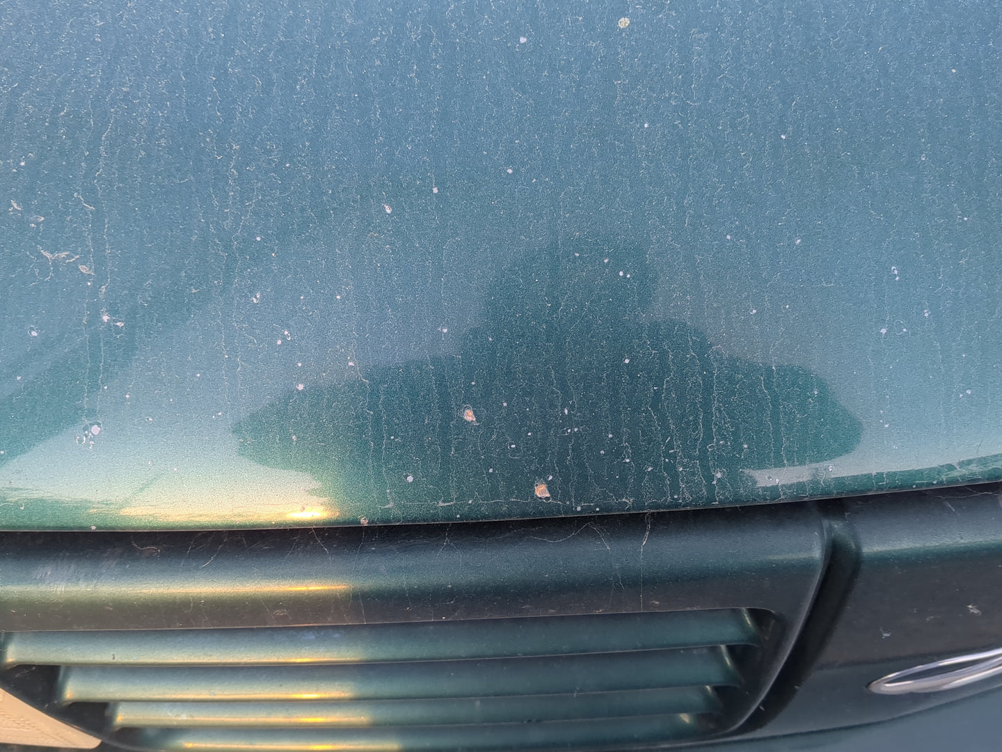 1996-2001 Oldsmobile Bravada Hood Oem - Oemusedautoparts1.com