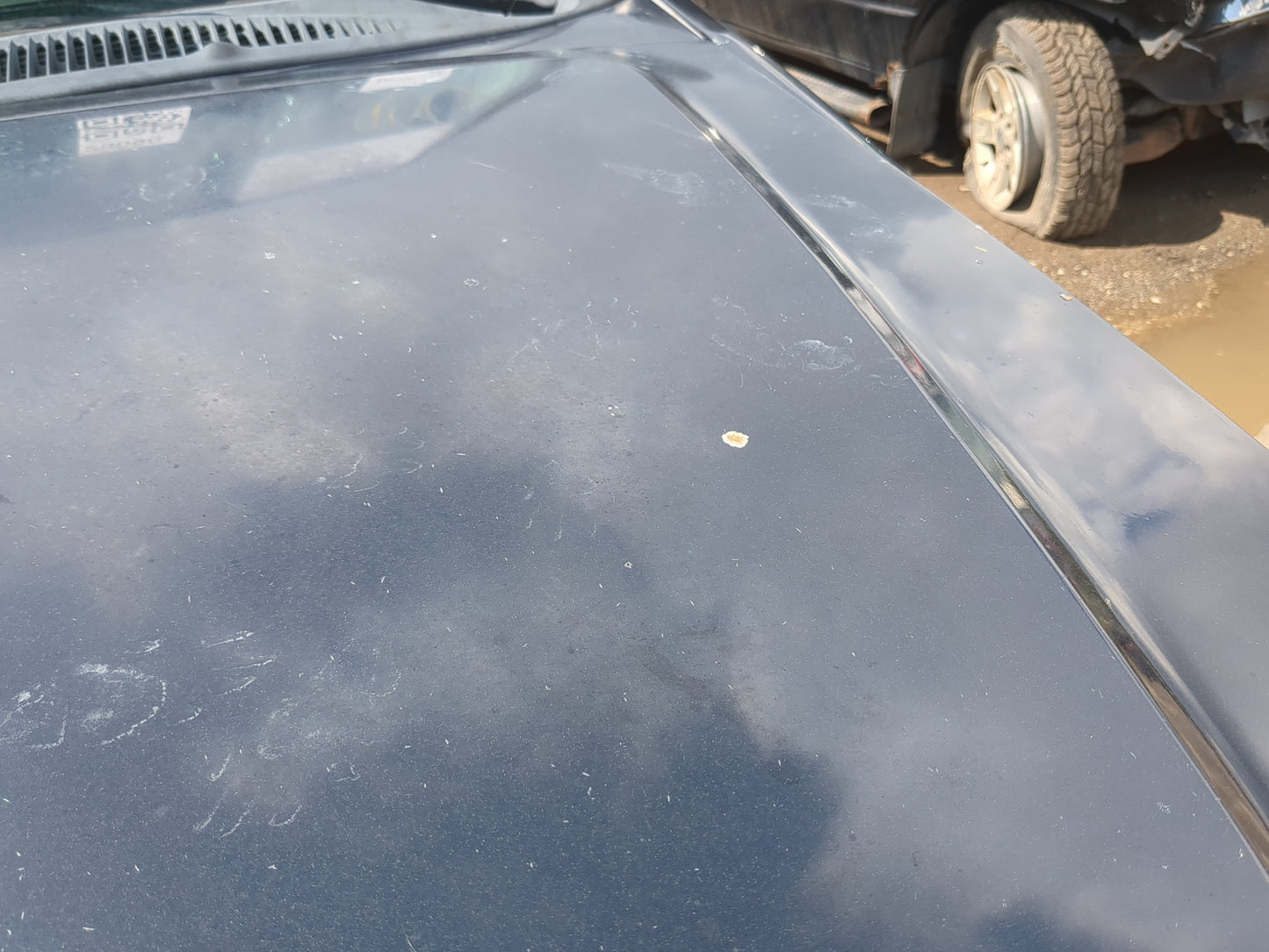 1998-2001 Ford Explorer Hood Oem - Oemusedautoparts1.com