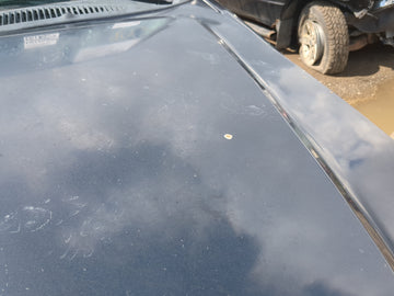 1998-2001 Ford Explorer Hood Oem