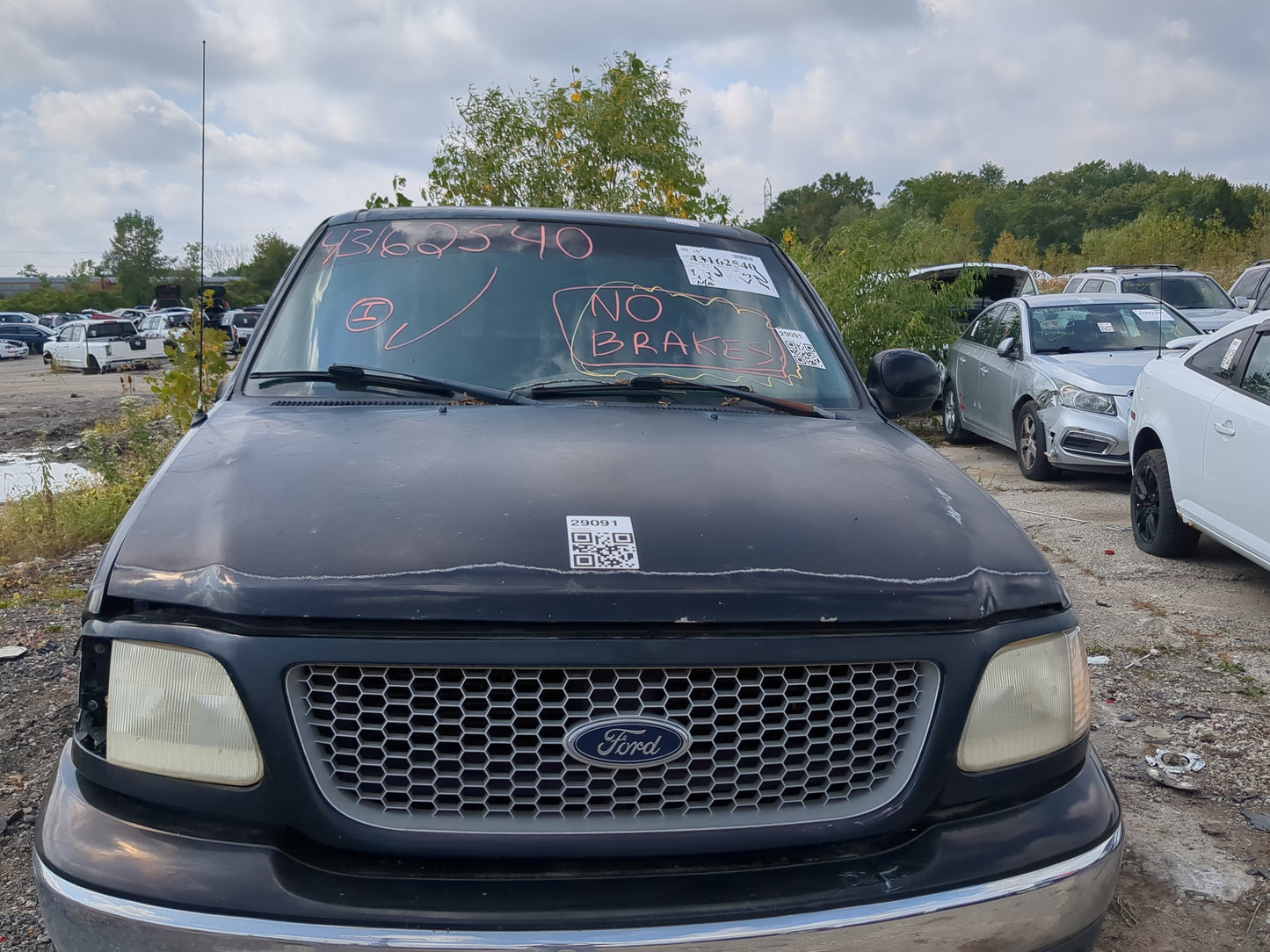 1999-2003 Ford F-150 Hood Oem - Oemusedautoparts1.com