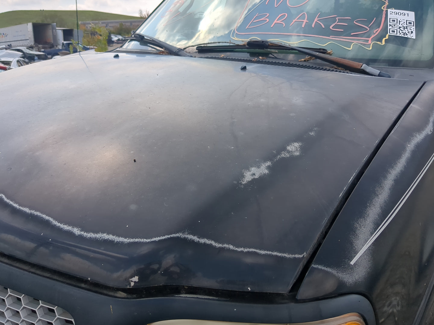 1999-2003 Ford F-150 Hood Oem - Oemusedautoparts1.com