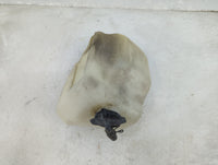 1999-1999 Lexus Rx300 Radiator Coolant Overflow Expansion Tank Bottle - Oemusedautoparts1.com
