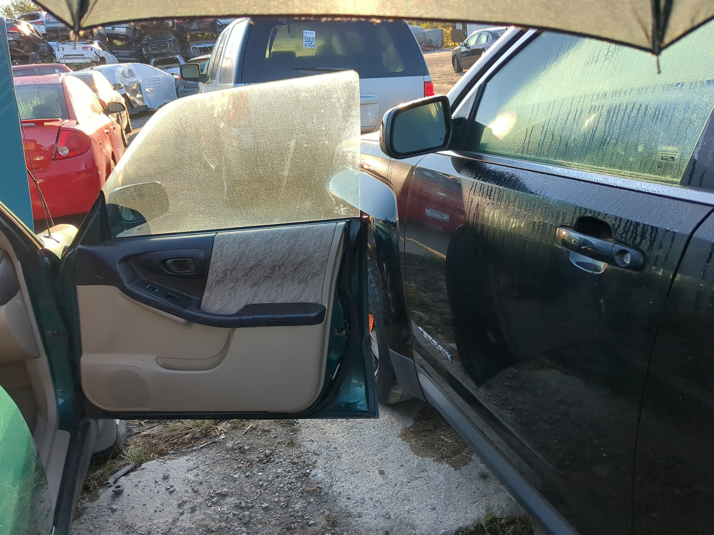 1998-2000 Subaru Forester Passenger Front Door Oem - Oemusedautoparts1.com