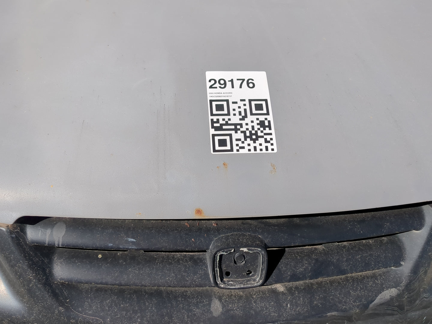 1998-2000 Honda Accord Hood Oem 1191923 - Oemusedautoparts1.com