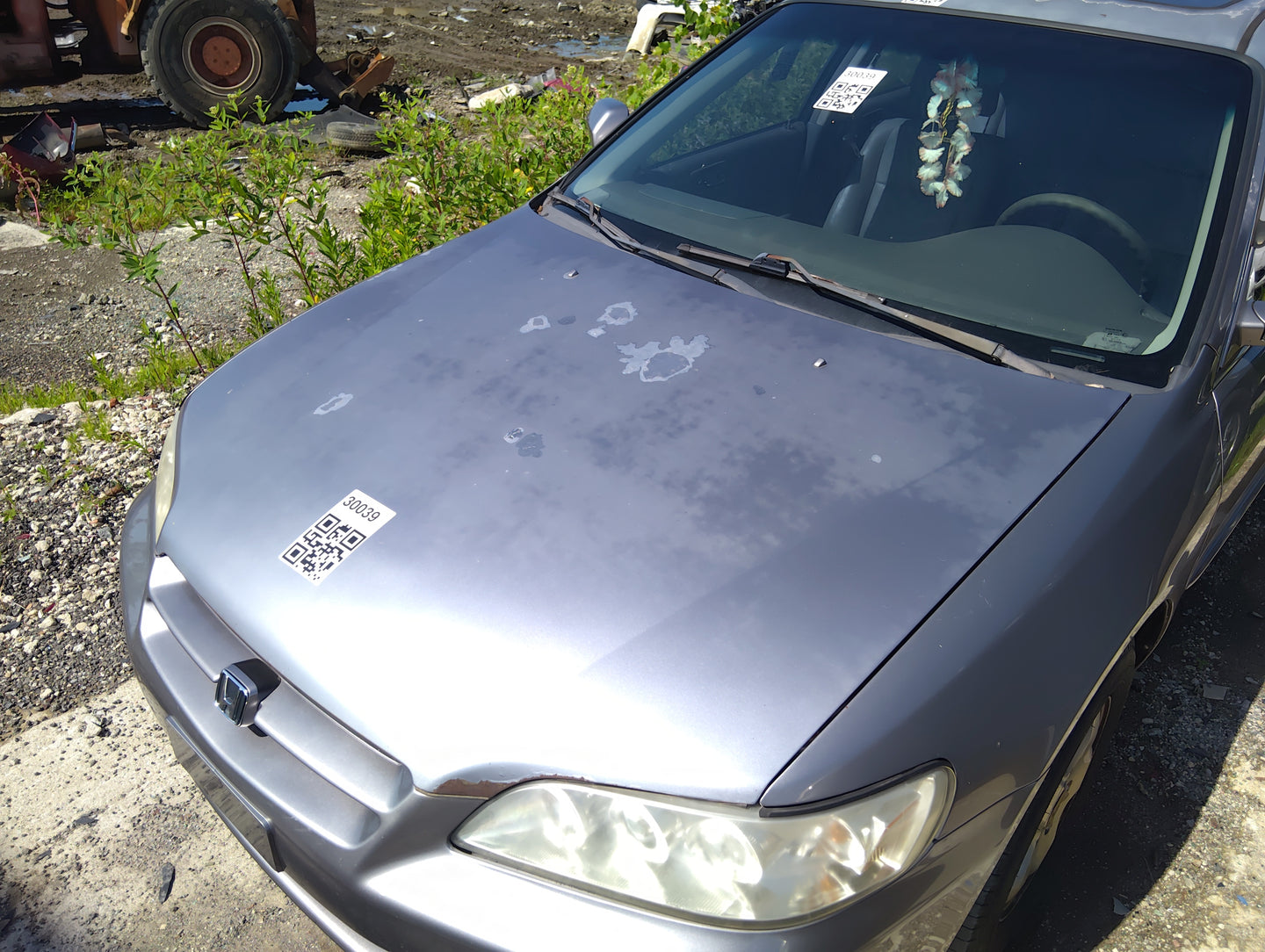 1998-2000 Honda Accord Hood Oem 5032785 - Oemusedautoparts1.com