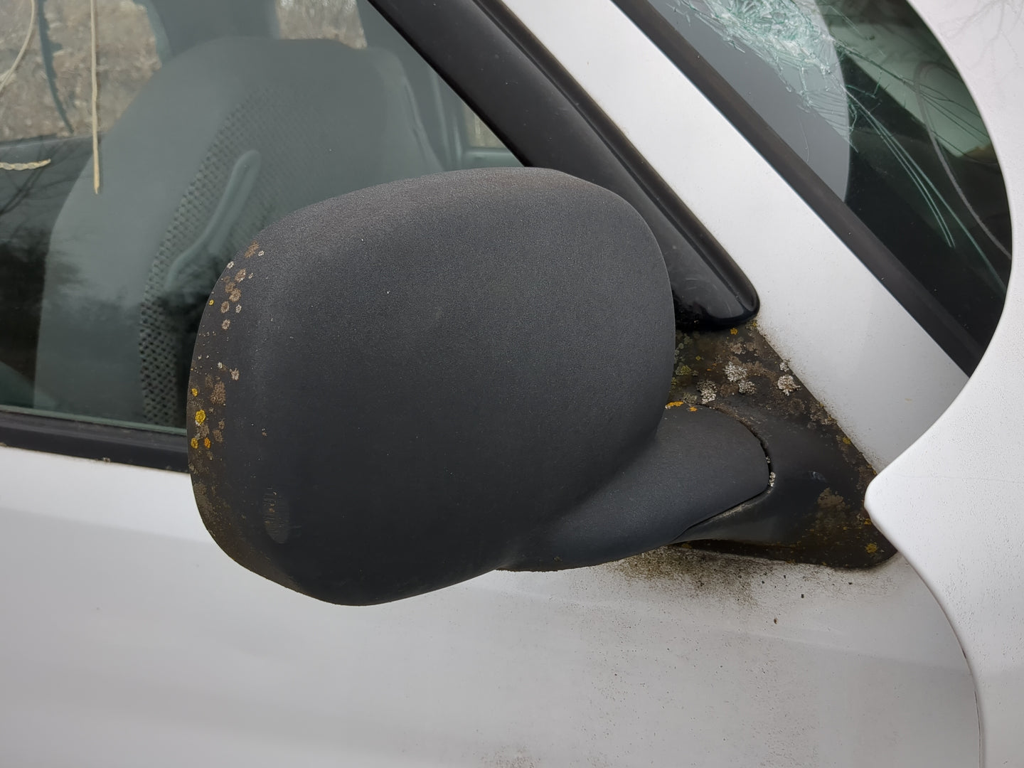 1998-2001 Dodge Ram 1500 Side Mirror Replacement Passenger Right View Door Mirror Fits Fits 1998 1999 2000 2001 2002 OEM Use