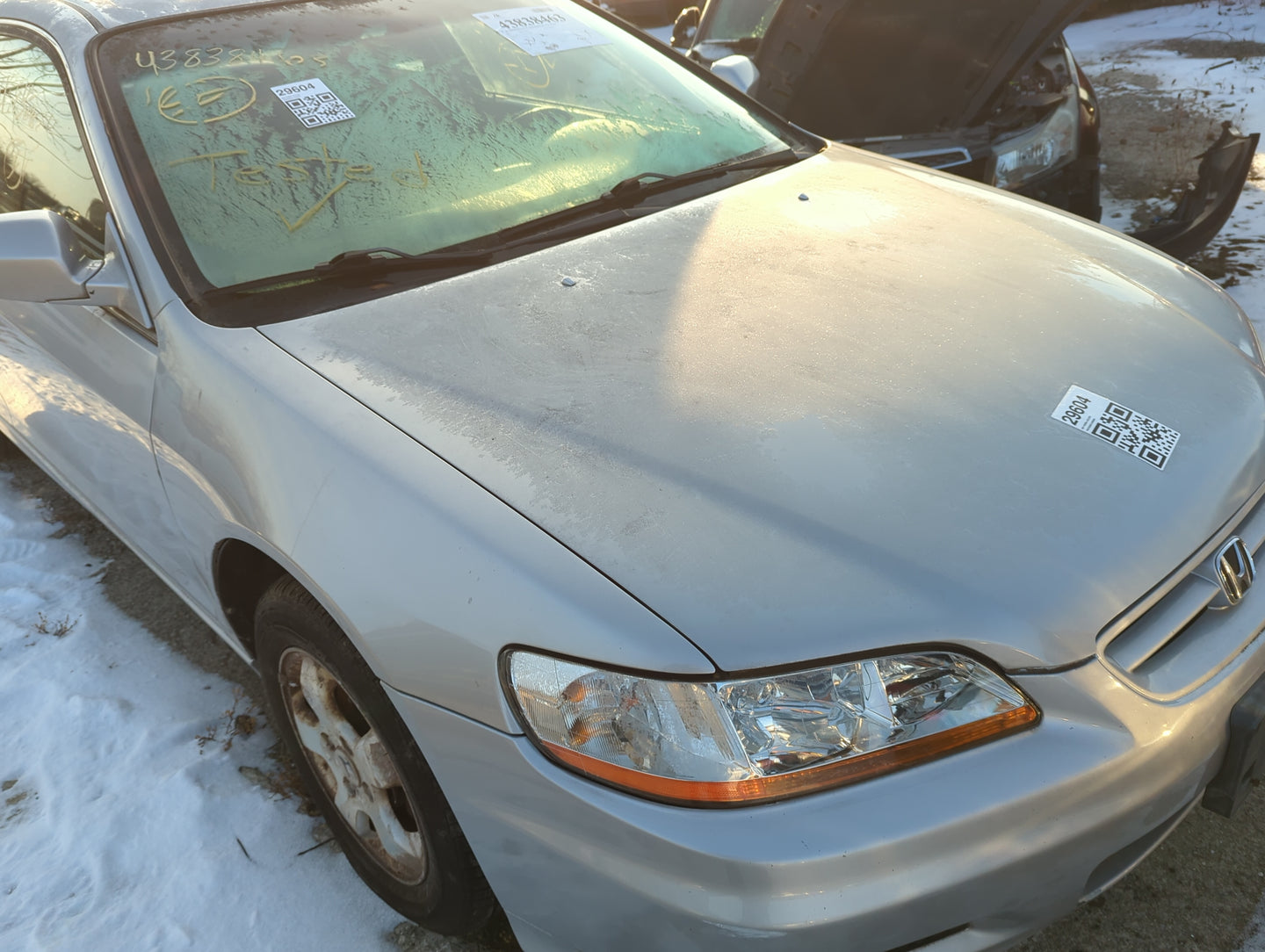 1998-2002 Honda Accord Hood Oem - Oemusedautoparts1.com