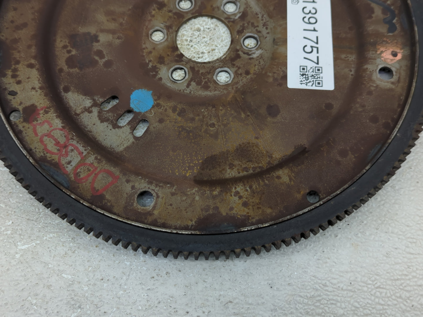 1996-2004 Mercury Grand Marquis Transmission Flywheel Flexplate Fits Fits 1996 1997 1998 1999 2000 2001 2002 2003 2004 OEM U