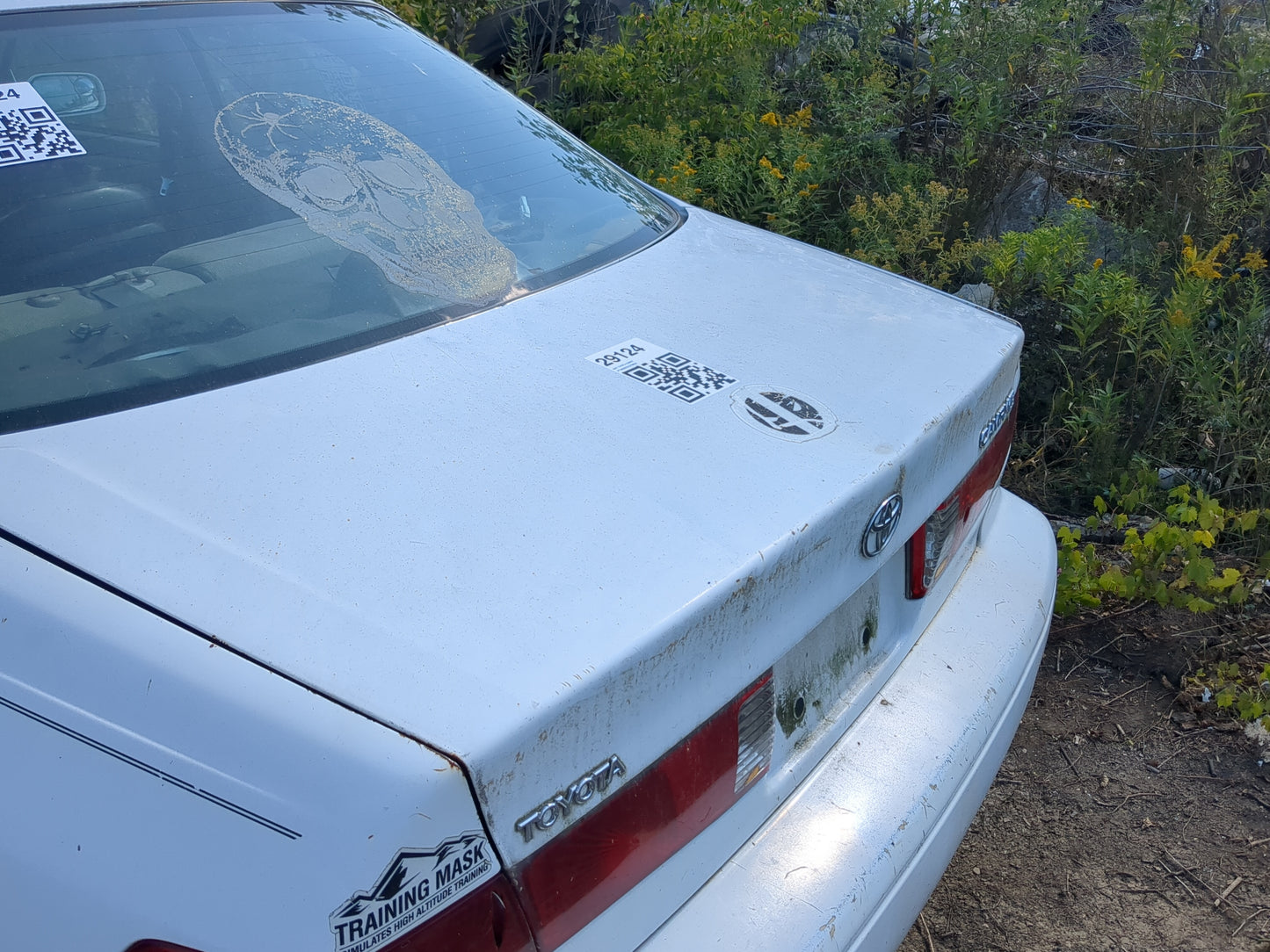 2001-2001 Toyota Camry Trunk/decklid/hatch/tailgate Oem - Oemusedautoparts1.com