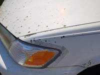 1997-2001 Toyota Camry Driver Fender - Oemusedautoparts1.com