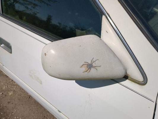 1997-2001 Toyota Camry Side Mirror Replacement Passenger Right View Door Mirror Fits Fits 1997 1998 1999 2000 2001 OEM Used Auto Parts