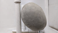 2001 Toyota Prius Headrest Head Rest Rear Center Seat Gray - Oemusedautoparts1.com