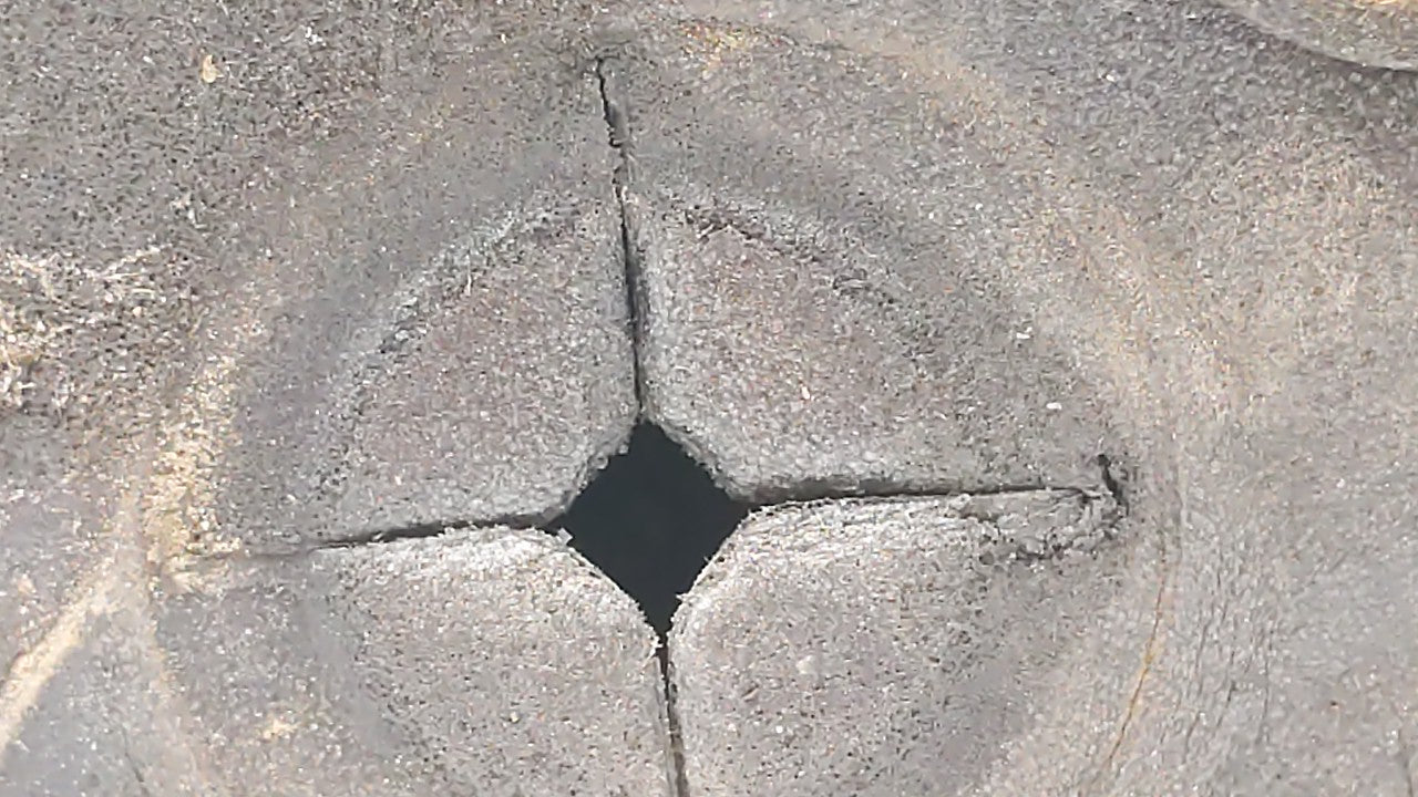 1997-2004 Dodge Dakota Passenger Right Side View Manual Door Mirror Black - Oemusedautoparts1.com