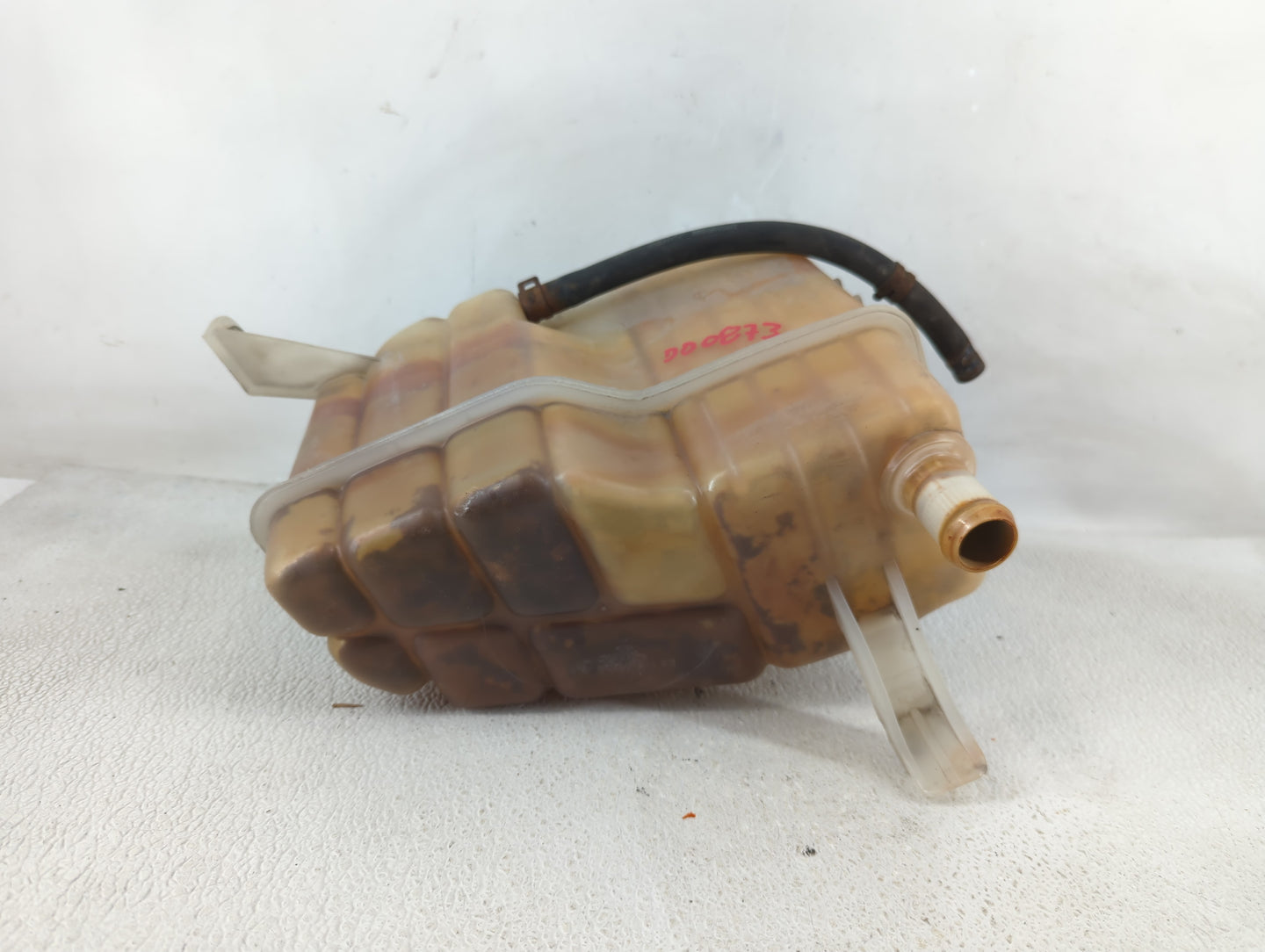 1998-2006 Ford F-150 Windshield Washer Fluid Reservoir Bottle Oem - Oemusedautoparts1.com