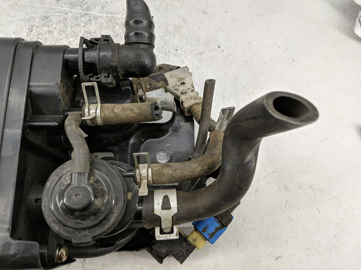2002 Toyota Camry Fuel Vapor Charcoal Canister - Oemusedautoparts1.com